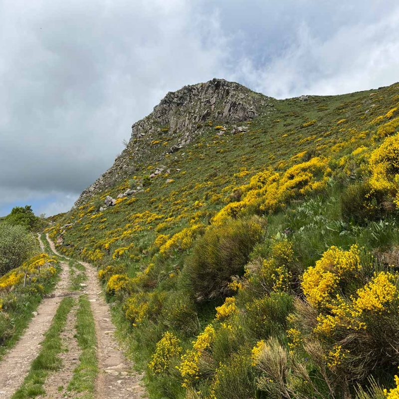 Chemin